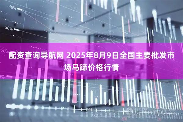 配资查询导航网 2025年8月9日全国主要批发市场马蹄价格行情